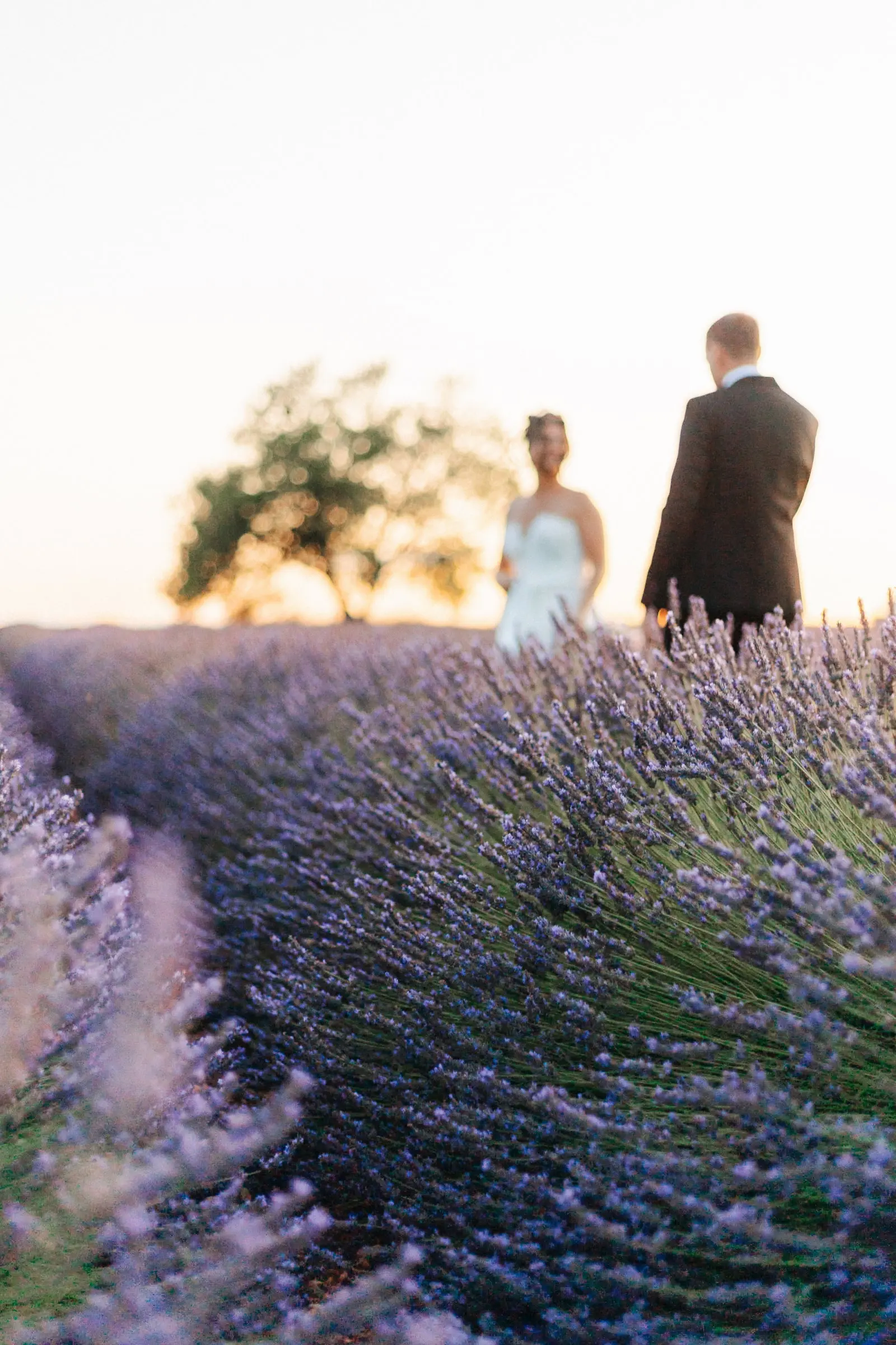 Provence · Lumière du Sud — mariage orchestré par MGEVENTI